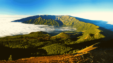 Cuántos habitantes tiene la isla de La Palma