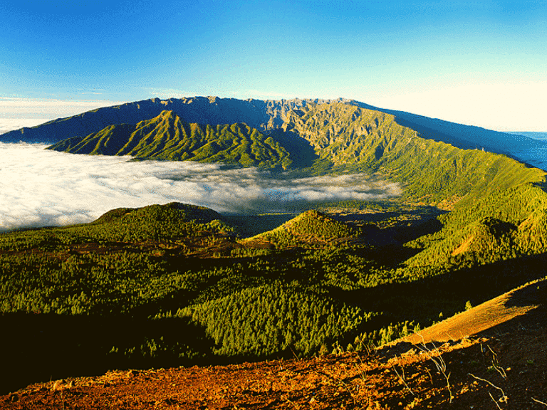 Cuántos habitantes tiene la isla de La Palma
