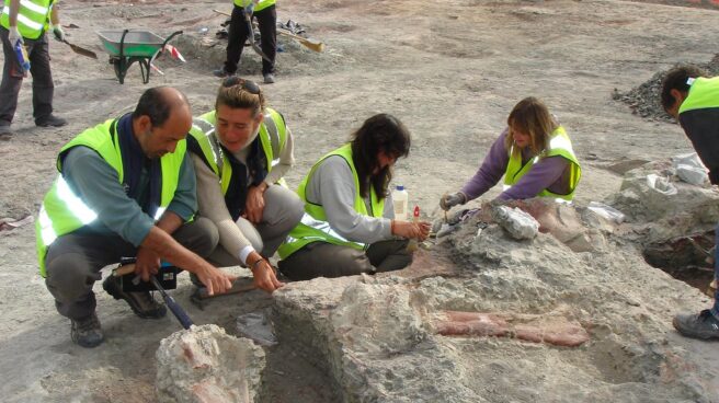 Restos de dinosaurios en el yacimiento del Cretácico Superior (80 millones de años) de Lo Hueco (Cuenca) durante la excavación en 2007. Restos de dinosaurios en el yacimiento del Cretácico Superior (80 millones de años) de Lo Hueco (Cuenca) durante la excavación en 2007.