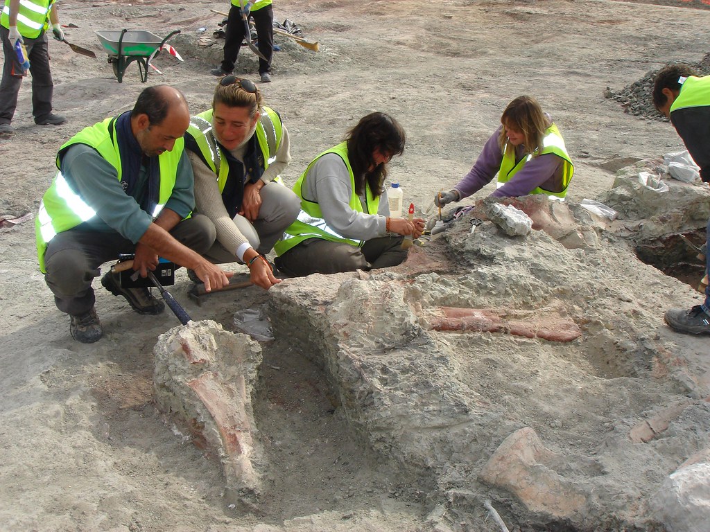 Restos de dinosaurios en el yacimiento del Cretácico Superior (80 millones de años) de Lo Hueco (Cuenca) durante la excavación en 2007.