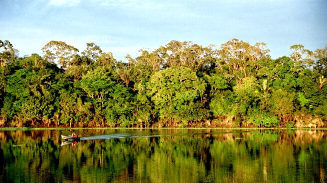 Amazonía
