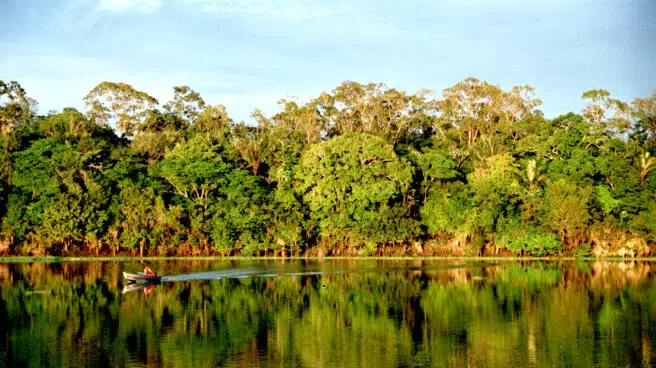 La Amazonía ha perdido en 36 años el equivalente a la superficie de Chile