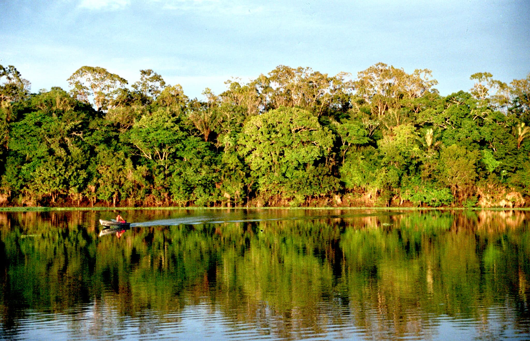 Amazonía