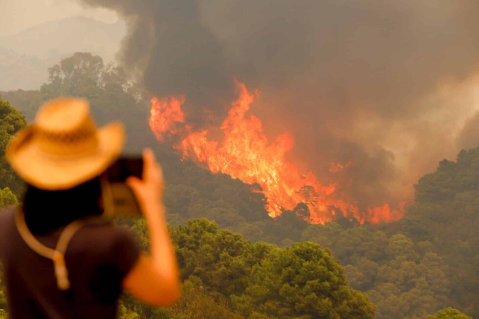 Incendio forestal de Sierra Bermeja este pasado verano en Estepona (Málaga).