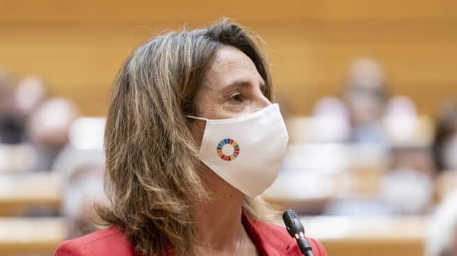 La crisis por la erupción del volcán en La Palma tema central en la sesión de control al Gobierno en el Senado