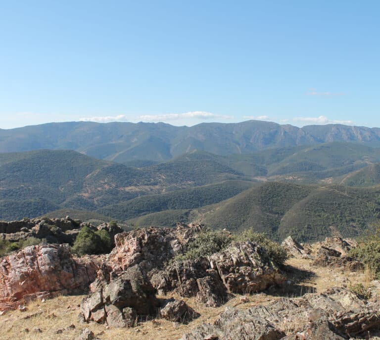 Hallan en Ciudad Real los fósiles de esponjas marinas más antiguas del mundo