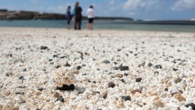 Fallece un bañista tras ser rescatado del agua en una playa en Fuerteventura