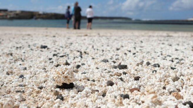 Fallece un bañista tras ser rescatado del agua en una playa en Fuerteventura Fallece un bañista tras ser rescatado del agua en una playa en Fuerteventura