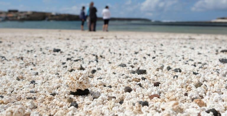 Fallece un bañista tras ser rescatado del agua en una playa en Fuerteventura