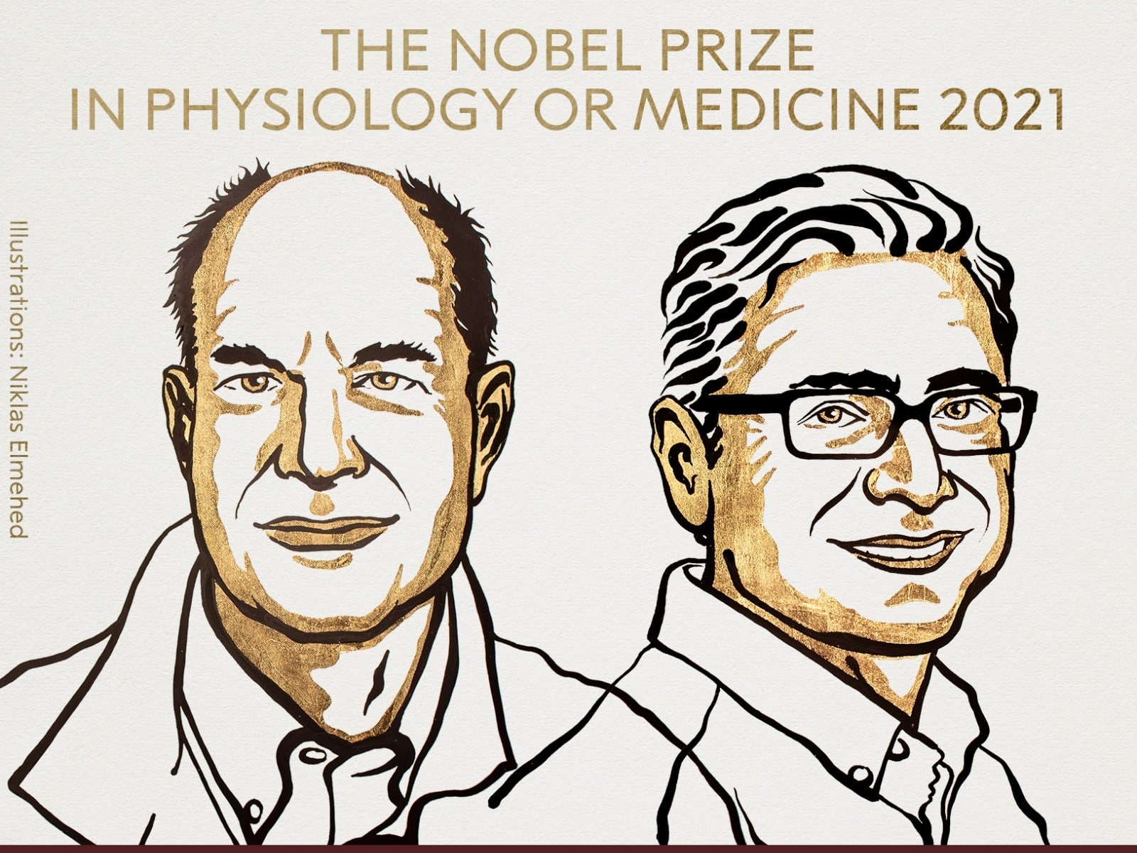 David Julius y Ardem Patapoutian, premios Nobel de Medicina