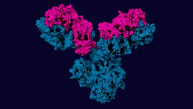 La búsqueda de tratamientos frente al Covid que llegó del éxito contra el cáncer