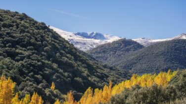 Fallece un senderista despeñado por un precipicio de cinco metros en Sierra Nevada