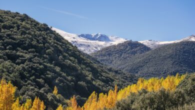 Fallece un senderista despeñado por un precipicio de cinco metros en Sierra Nevada