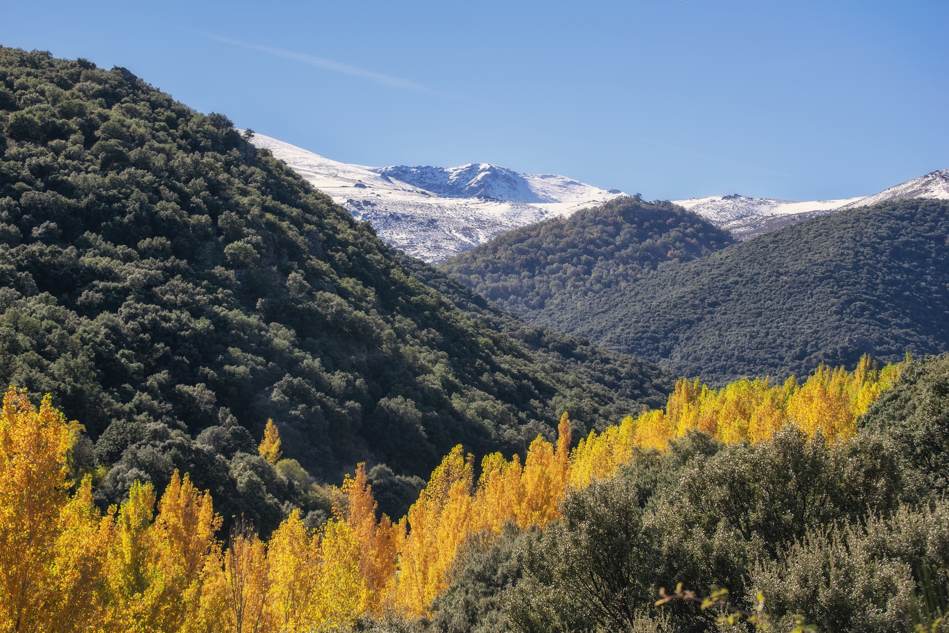 Fallece un senderista despeñado por un precipicio de cinco metros en Sierra Nevada