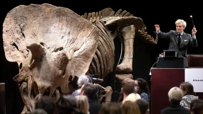 El triceratops 'Big John', subastado en París por 6,6 millones de euros