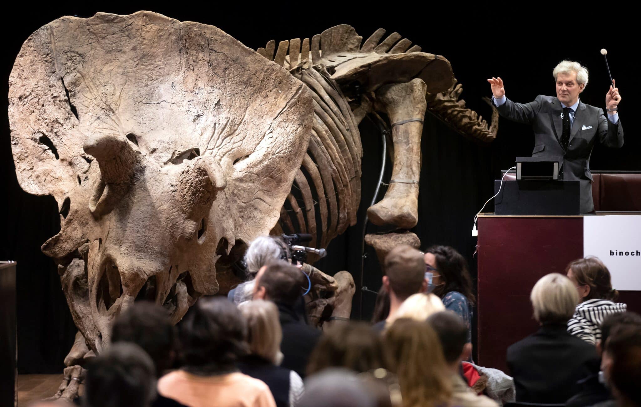 El triceratops 'Big John', subastado en París por 6,6 millones de euros