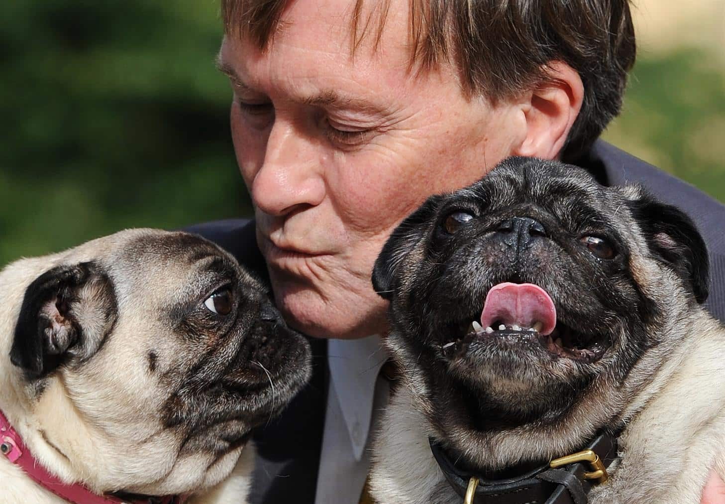 El diputado británico David Amess, apuñalado durante un acto electoral en Essex.