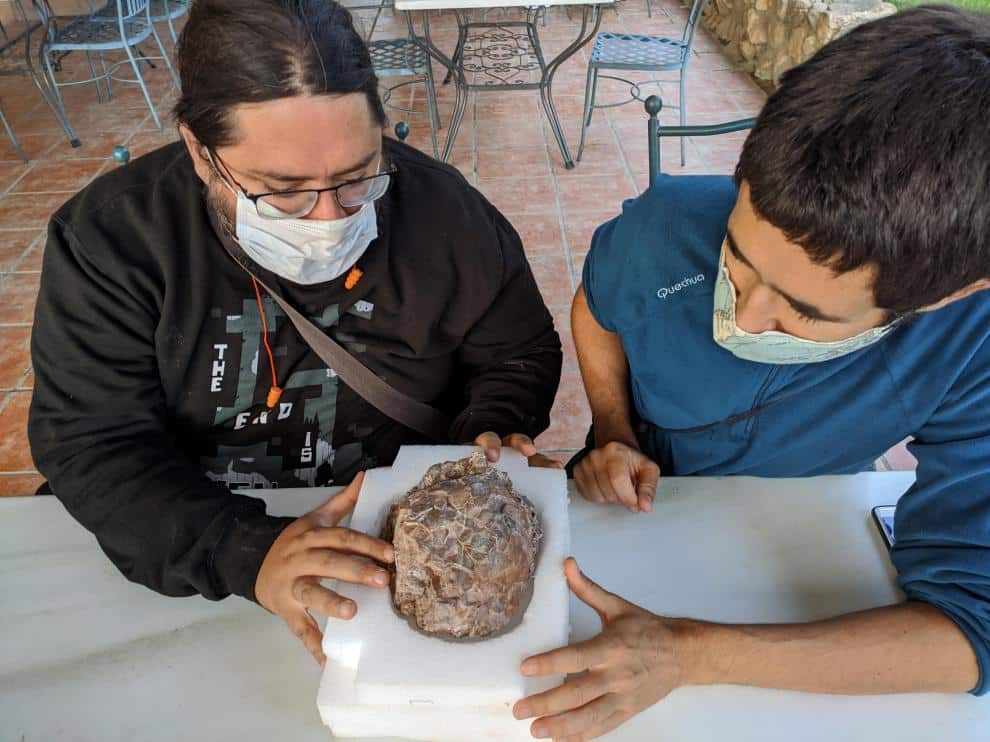 Recuperado un bloque de dos toneladas con huevos fósiles de dinosaurio del yacimiento de Loarre (Huesca)