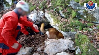 Encuentran en Guipúzcoa un zulo con armas y explosivos que pudo pertenecer a ETA