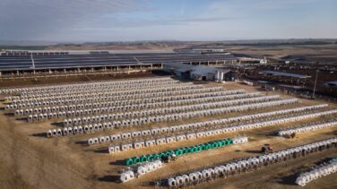 Greenpeace pide una moratoria para poner fin a la "expansión descontrolada" de las macrogranjas
