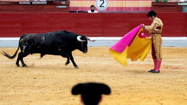 Morante de la Puebla, durante una corrida en Jaén.