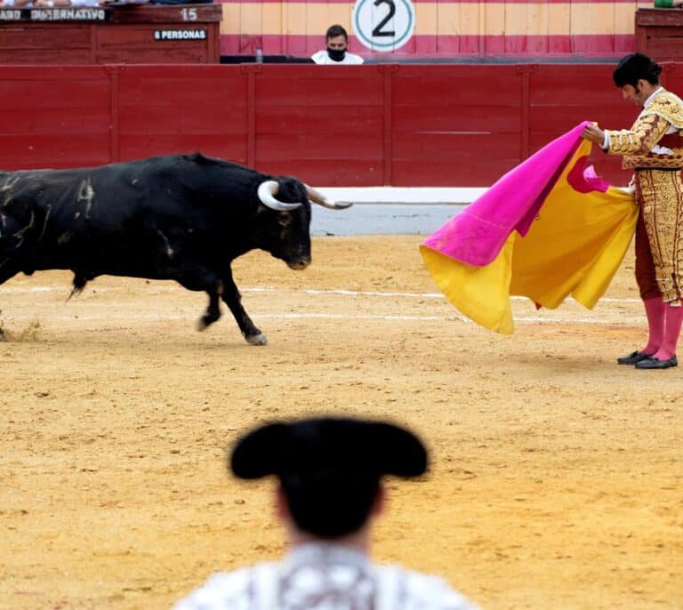 Morante dona los 30.000€ del Premio Nacional de Tauromaquia a la Casa de Misericordia de Pamplona