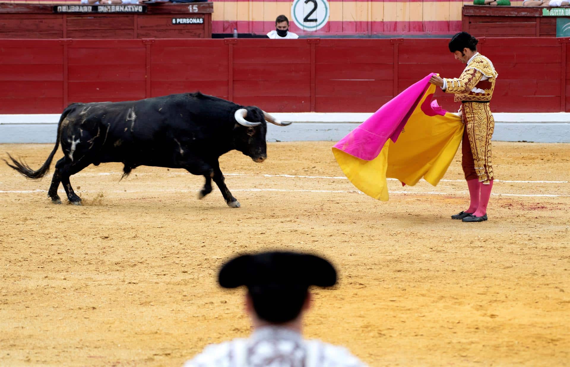 Morante de la Puebla, durante una corrida en Jaén.