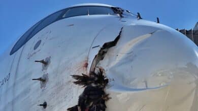 El impacto de un buitre negro obliga a un avión a aterrizar de emergencia en Barajas