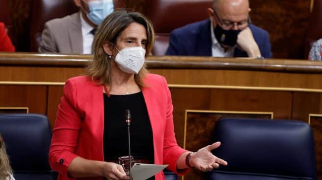 La ministra Teresa Ribera, en el Congreso de los Diputados. La ministra Teresa Ribera, en el Congreso de los Diputados.