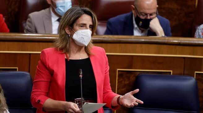 La ministra Teresa Ribera, en el Congreso de los Diputados.