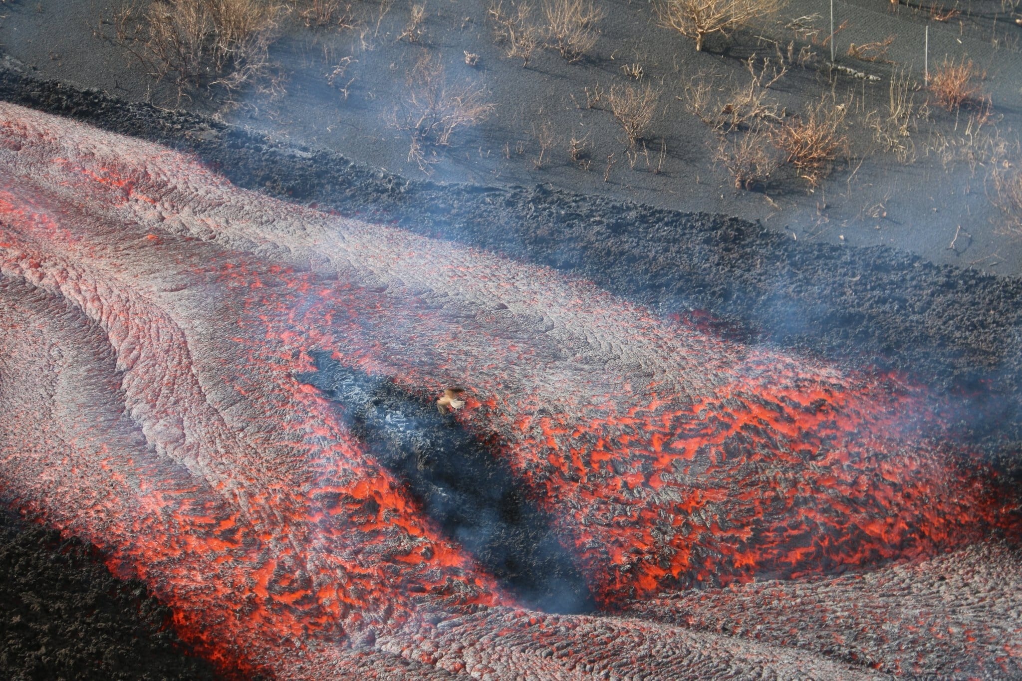 El volcán de La Palma en erupción