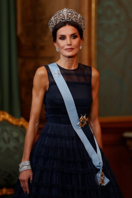 La Reina Letizia en la cena de gala de Estocolmo con el vestido azul de tul de H&M