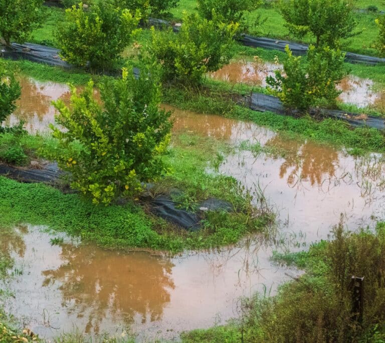 La Aemet descarta que la borrasca Blas se convierta en huracán mediterráneo