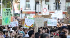 Más País-Equo, Alianza Verde o PACMA: la amalgama de siglas que frena el impulso ‘verde’ en España