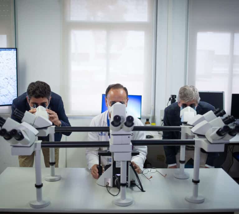 La UE debe multiplicar por 10 sus inversiones para igualar la brecha en Inteligencia Artificial con China y EEUU