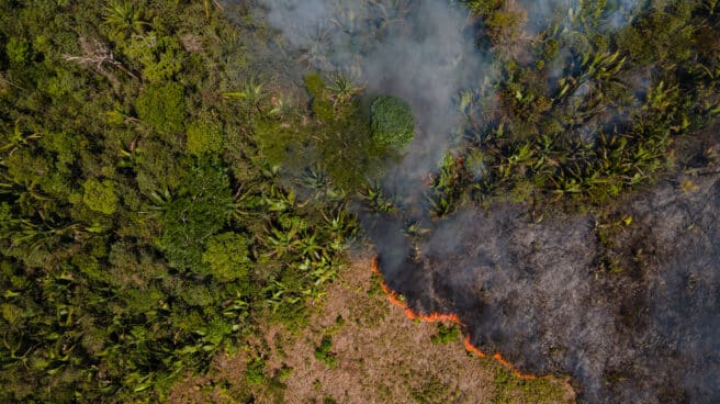 Amazon forest fires in Brazil