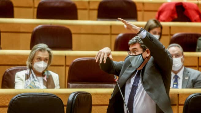 El ministro José Luis Escrivá, en el Senado.