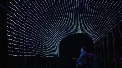 Cuándo es el encendido de las luces de Navidad en Madrid