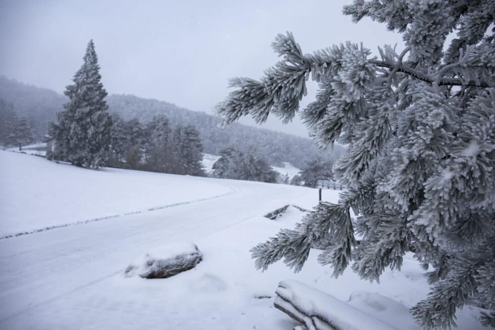 Nieve en el Puerto de Cotos, en la sierra de Guadarrama, a 4 de noviembre de 2021, en Madrid (España).