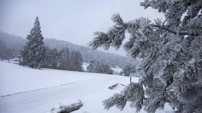 Nevada en el puerto de Navacerrada.