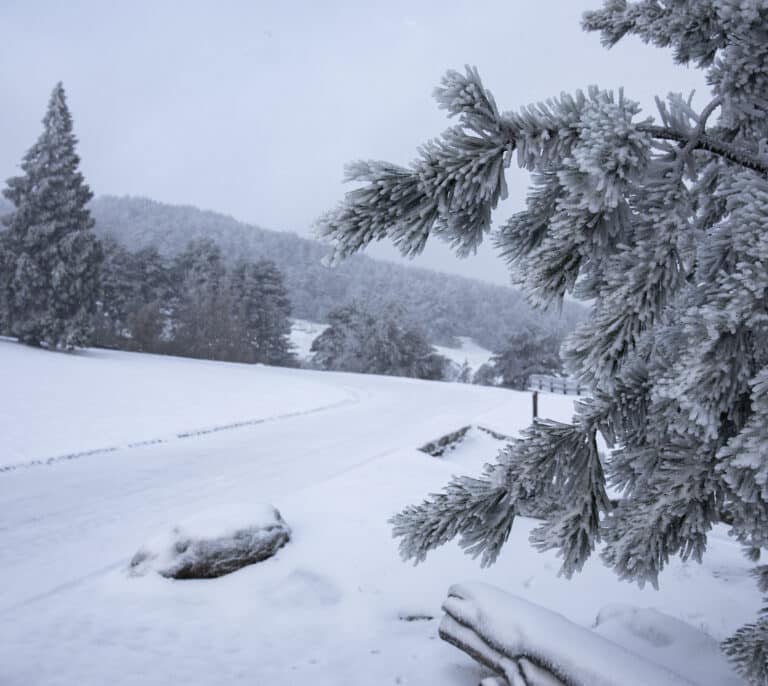 El martes será el "día álgido" de la DANA que llega el lunes a España