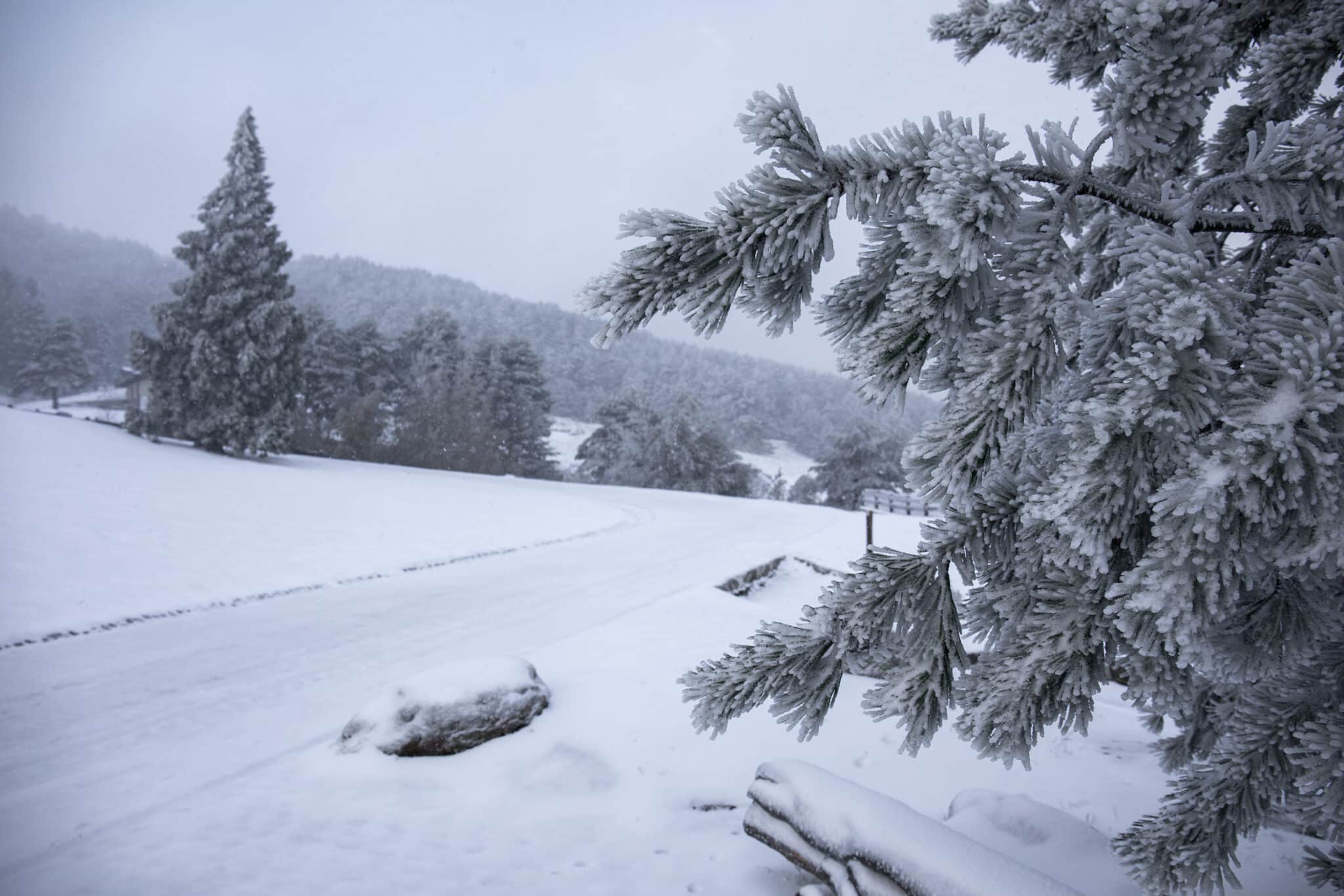 Nevada en el puerto de Navacerrada.