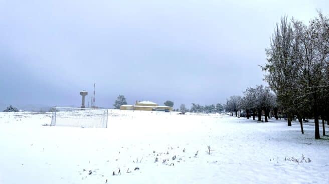 20 centímetros de nieve, olas de 5 metros y vientos de 80km/h: 13 provincias en riesgo por la meteorología Un campo de Medinaceli cubierto de nieve