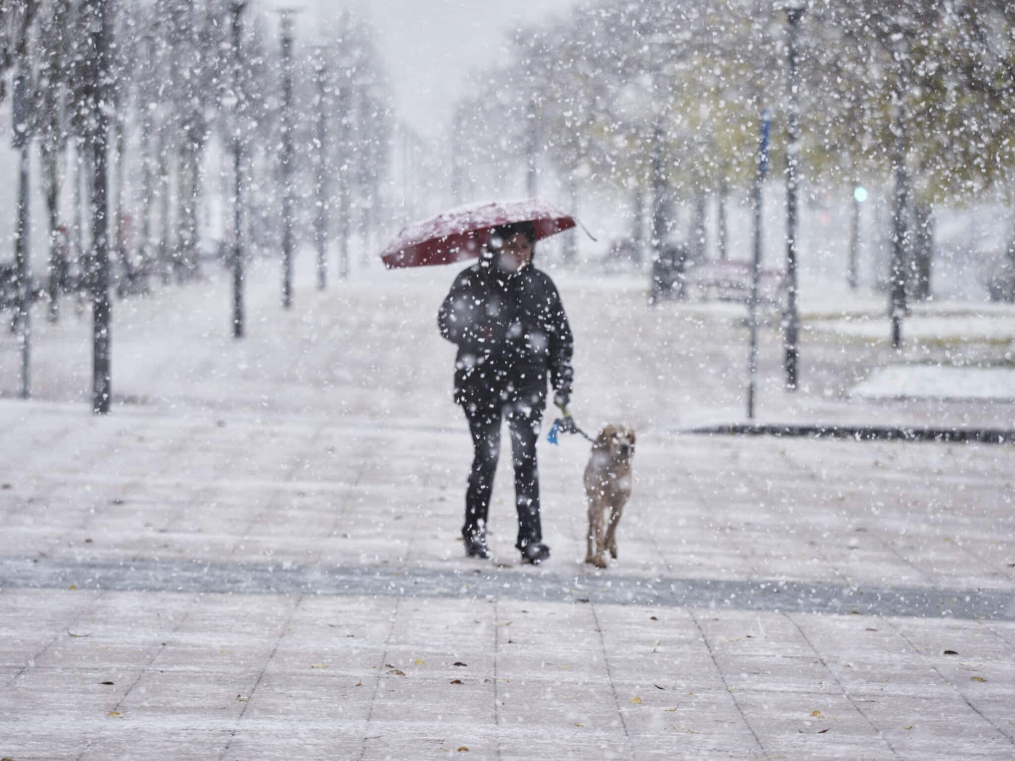 Una mujer camina junto a su perro mientras nieva en Pamplona, Navarra (España).