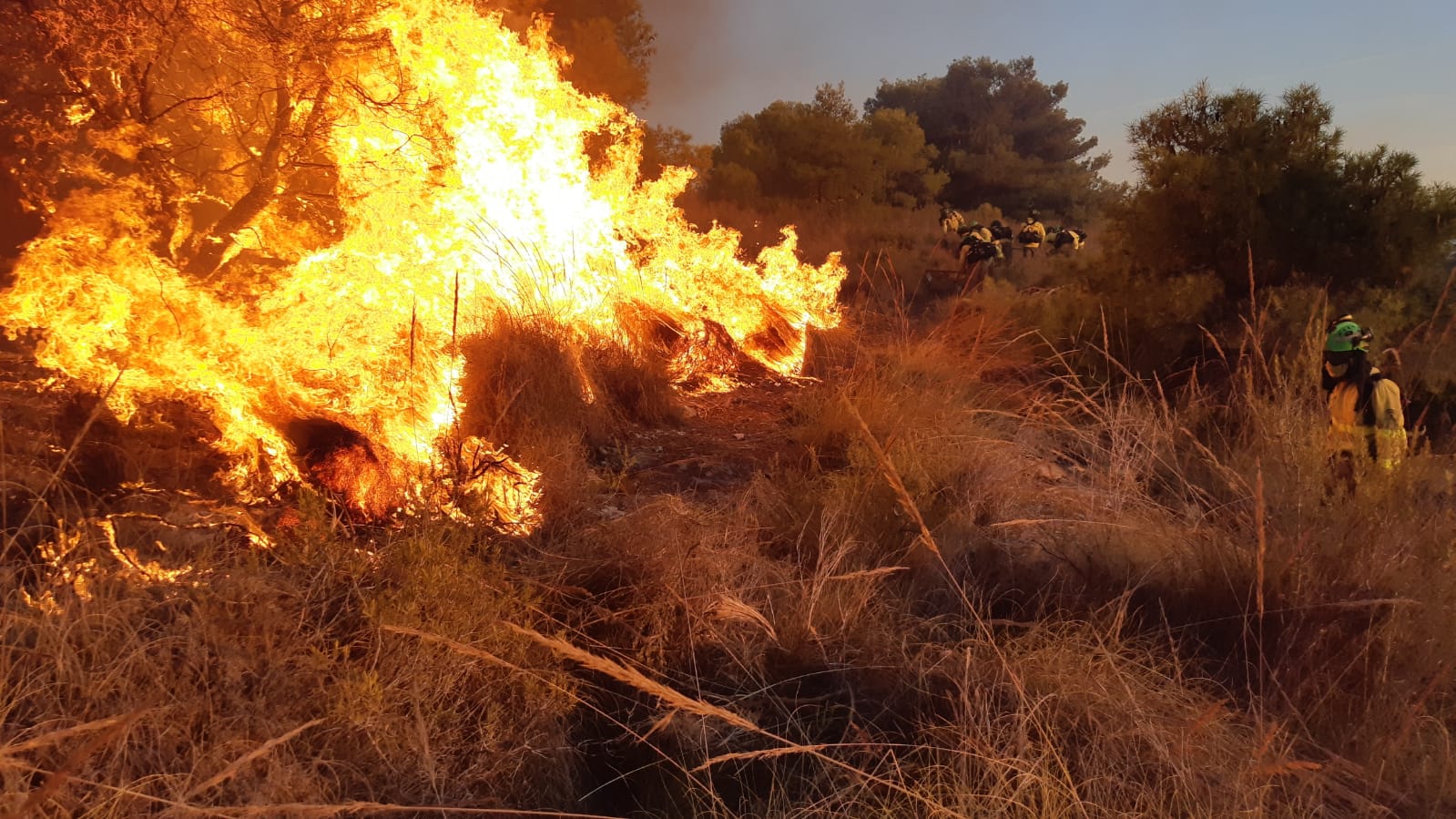 Incendio en Maro (Nerja-Málaga)