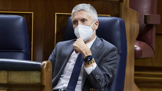 El ministro del Interior, Fernando Grande-Marlaska, en una sesión plenaria en el Congreso de los Diputados.