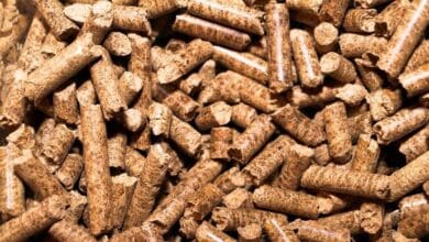 Estufas de pellet: la alternativa más económica para calentar tu casa este invierno