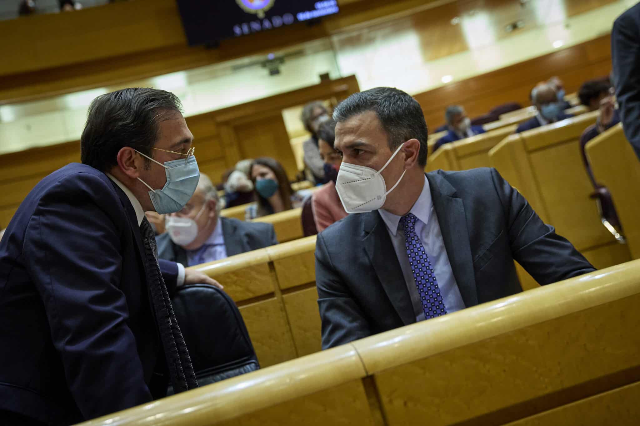 El ministro de Asuntos Exteriores, UE y Cooperación, José Manuel Albares (i) y el presidente del Gobierno, Pedro Sánchez (d), durante una sesión de control al Gobierno en el Senado.