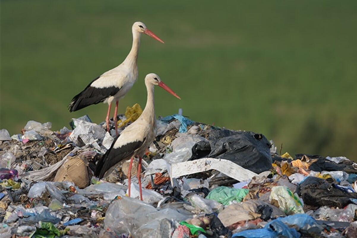 Residuos que contaminan el medio ambiente