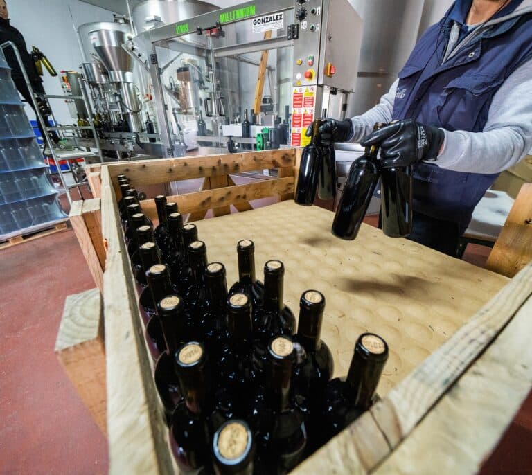 El vino español bate récord fuera de nuestras fronteras con un 8% más de facturación que antes de la pandemia